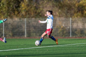 Bild 252 - wCJ Altona - Hamburger SV : Ergebnis: 2:11
